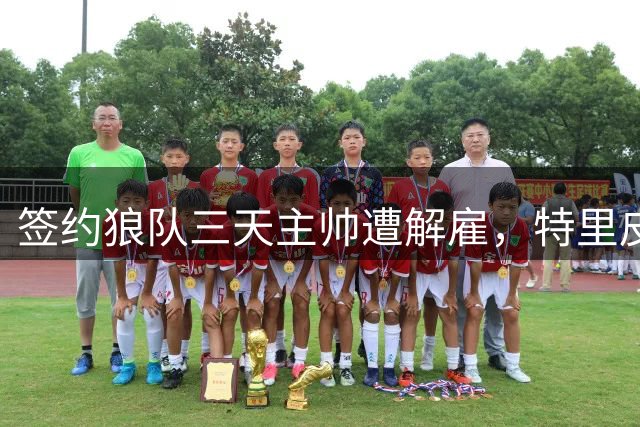 签约狼队三天主帅遭解雇，特里皮尔回应：没想撕合同