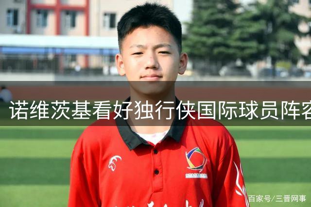 诺维茨基看好独行侠国际球员阵容构建